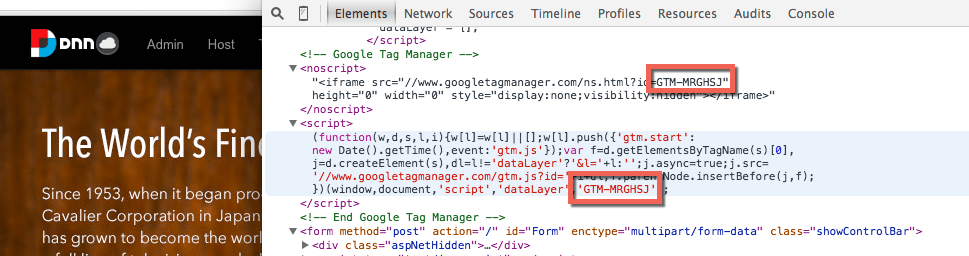 google-tag-manager-dnn-tracking-script.png